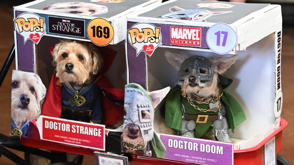 SDCC ’25: 13th Annual PAWmicon celebrates pets & their adopters